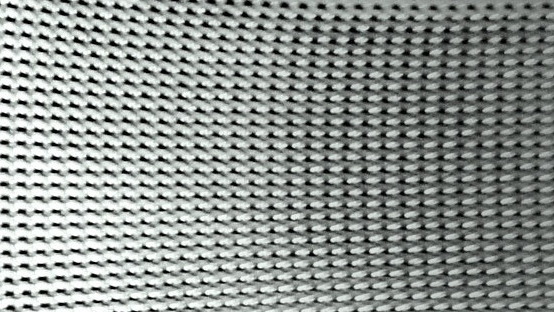 Scientists design Nano-carrier based treatment against Salmonella infections